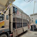 杭州余杭區(qū)專業(yè)假負(fù)載測(cè)試