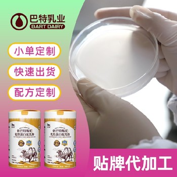 驼乳粉加盟厂家巴特乳业骆驼奶粉OEM驼奶粉正宗新疆