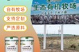 塔城駝奶粉批發代理駱駝奶粉貼牌代加工新疆駱駝奶廠家