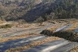 山西藍(lán)莓園1米寬透水除草地布