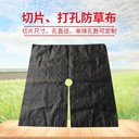 浙江90克PE防草布蓋草布除草布,的原理是啥