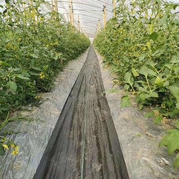 黑龍江葡萄園1.2米寬透氣滲水防草布