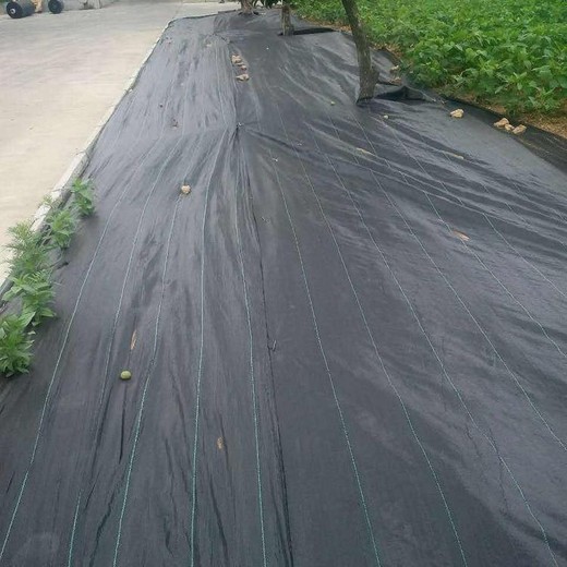 防草布--除草布-防草布批發(fā)使用時(shí)間是幾年電話(huà)咨詢(xún)