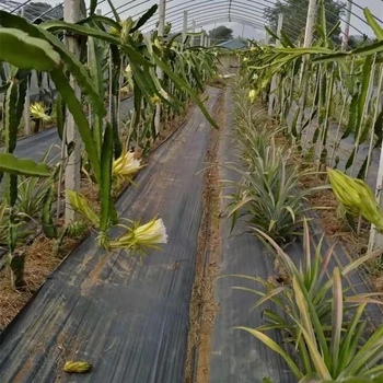 杭州市pepp90克防草布廠家報價