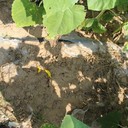 四川公司全生物降解地膜公司報價