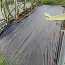 果園用防草布廠家價格多少錢一平米園林防草布能用幾年