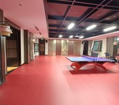 黑河乒乓球塑膠地板供應運動地板塑膠地板乒乓球地板