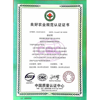 九龍快速GAP產(chǎn)品認證