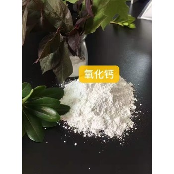 唐山食品添加剂轻质碳酸钙98