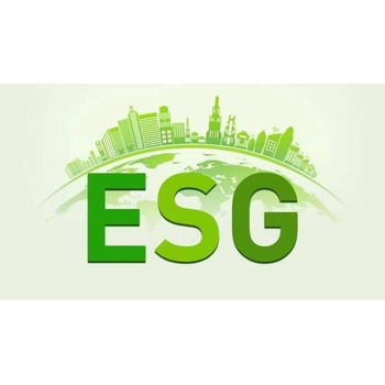 柯城区一龙条ESG报告验厂