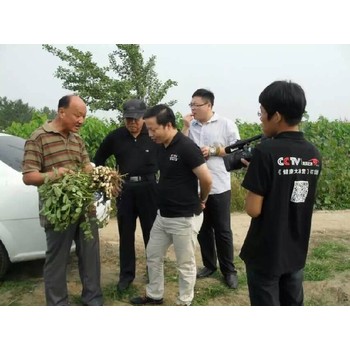 临汾生产厂家可降解地膜产地