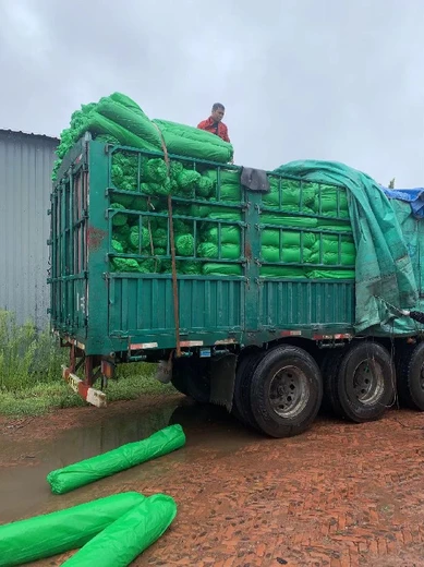 呼和浩應(yīng)工地防塵蓋土網(wǎng),公路綠化網(wǎng)批發(fā)