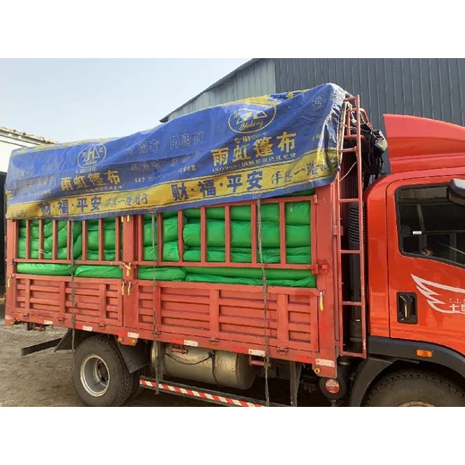 聚乙烯蓋土網(wǎng),舟山綠色防塵網(wǎng)大量供應(yīng)