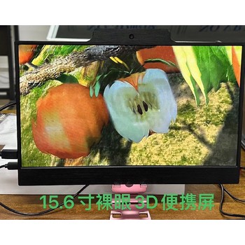 黑龙江15.6寸3D裸眼便携式显示器-眼视觉训练显示器