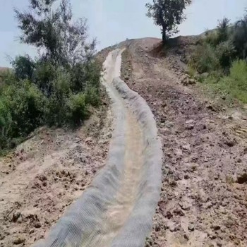 泄水槽护坡水泥毯,水泥毯10mm厚