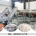 荔枝去皮去核設備龍眼果酒加工設備生產(chǎn)線(xiàn)NFC果汁生產(chǎn)線(xiàn)