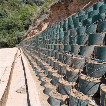 襄阳蜂巢约束系统厂家销售,萍乡土工格室