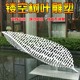 公園圖