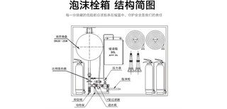 图片0