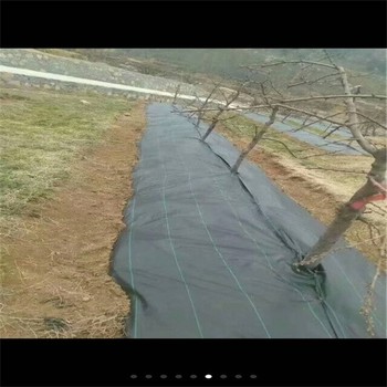 上海防草布,山東萬旭