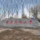 南京學(xué)校校園大型景觀石銷售基地廠家,大型景觀石銷售定制廠家