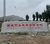 松江小區單位原石景觀石銷售基地廠家,大型原石景觀石廠家