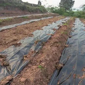 惠州防草布廠家電話,土工布廠家防草布制造廠