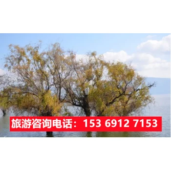 從石家莊出發(fā)到云南旅游報(bào)價(jià),石家莊到麗江旅游團(tuán)