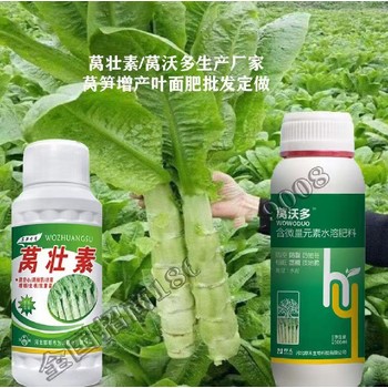 莴笋防抽苔根茎增粗增产莴笋叶面肥作用为峰肥业厂家招商沃莴多