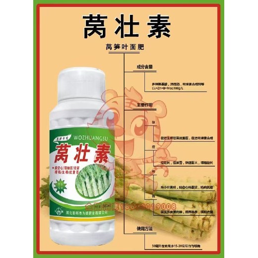根茎膨大莴笋叶面肥公司名字为峰肥业厂家招商莴壮素
