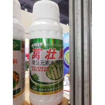 萵筍根莖膨大萵筍葉面肥招商電話為峰肥業(yè)廠家招商萵壯素