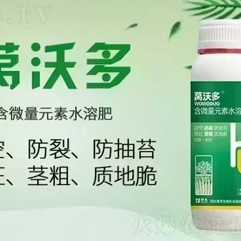 萵筍粗嫩壯邯鄲為峰萵筍葉面肥什么價為峰肥業(yè)廠家招商萵壯素