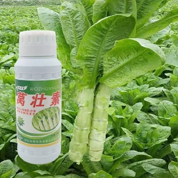 貢菜邯鄲為峰萵筍葉面肥招商電話為峰肥業(yè)廠家招商萵壯素