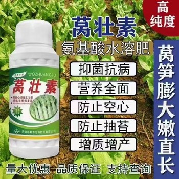 莴壮宝根茎增粗增产莴笋叶面肥厂家指导为峰肥业厂家招商莴壮素