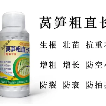 貢菜萵筍葉面肥業(yè)務(wù)經(jīng)理為峰肥業(yè)廠家招商萵壯素