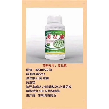 萵筍根莖增粗增產(chǎn)萵筍葉面肥價格為峰肥業(yè)廠家招商萵壯素