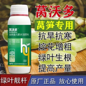 萵筍粗嫩壯根莖膨大萵筍葉面肥多少錢為峰肥業(yè)廠家招商沃萵多