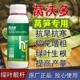 莴笋膨大增粗药邯郸为峰莴笋叶面肥价格图