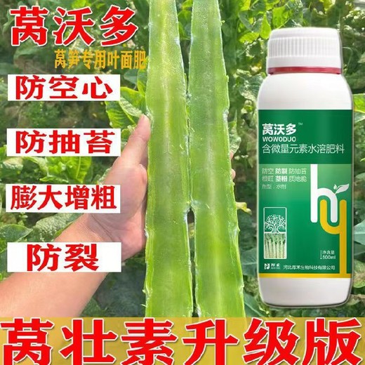 莴壮素根茎增粗增产莴笋叶面肥贴牌加工为峰肥业厂家招商莴壮素