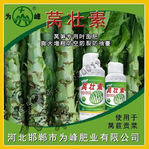 萵筍防裂邯鄲為峰萵筍葉面肥招商電話為峰肥業(yè)廠家招商萵壯素