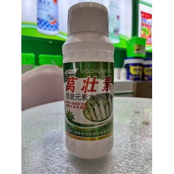 萵筍防抽苔根莖膨大萵筍葉面肥為峰肥業廠家招商沃萵多