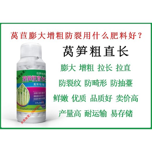 萵筍防裂根莖增粗增產(chǎn)萵筍葉面肥作用為峰肥業(yè)廠家招商沃萵多