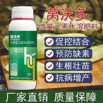 萵筍胖墩萵筍葉面肥產(chǎn)品定做為峰肥業(yè)廠家招商沃萵多