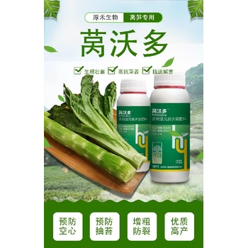 萵筍粗嫩壯胖墩萵筍葉面肥用法用量為峰肥業(yè)廠家招商沃萵多