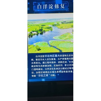 金湖未来城2025雄安新区楼盘