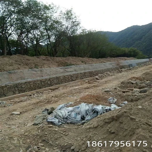 天津鉛絲石籠網(wǎng)實體廠家-河南綠濱墊石籠網(wǎng)