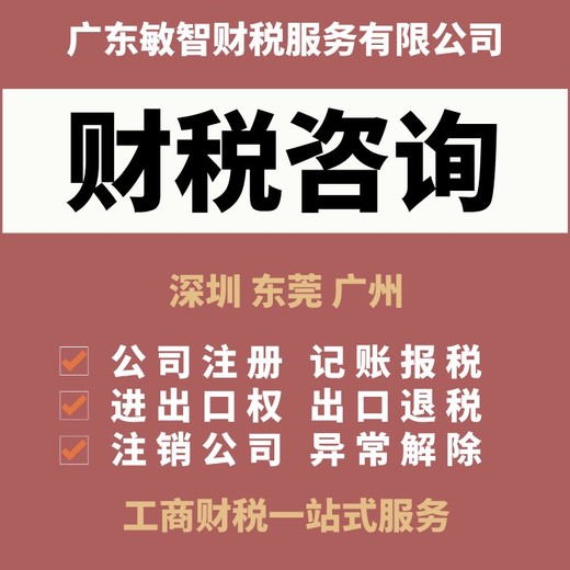 深圳盐田一般纳税人财税咨询公司办理