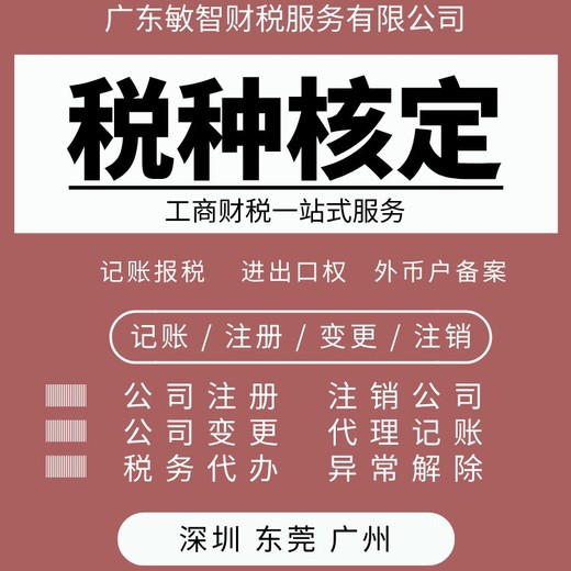 東莞虎門鎮會計記賬代理工商會計咨詢法人變更