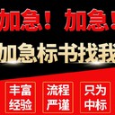 四川成都當(dāng)?shù)刂谱麟娮訕?biāo)書公司-專業(yè)標(biāo)書代寫投標(biāo)書