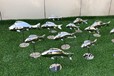 廣場(chǎng)魚(yú)雕塑定制廠家